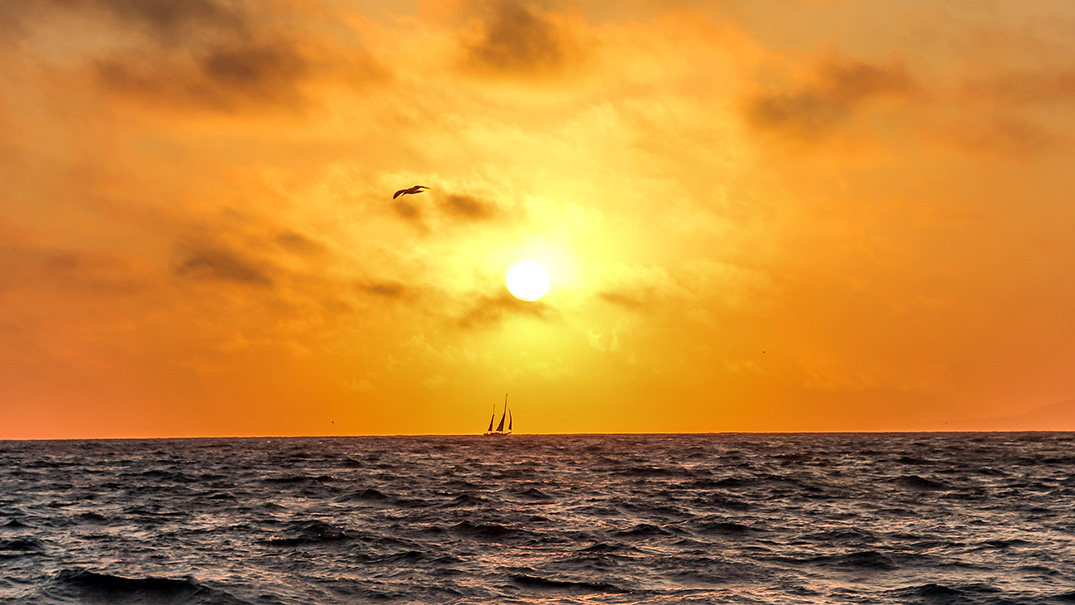 LA Venice Beach Sunset